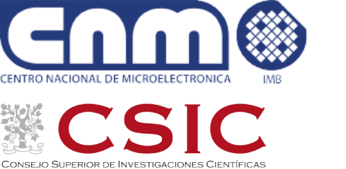 CNM CSIC